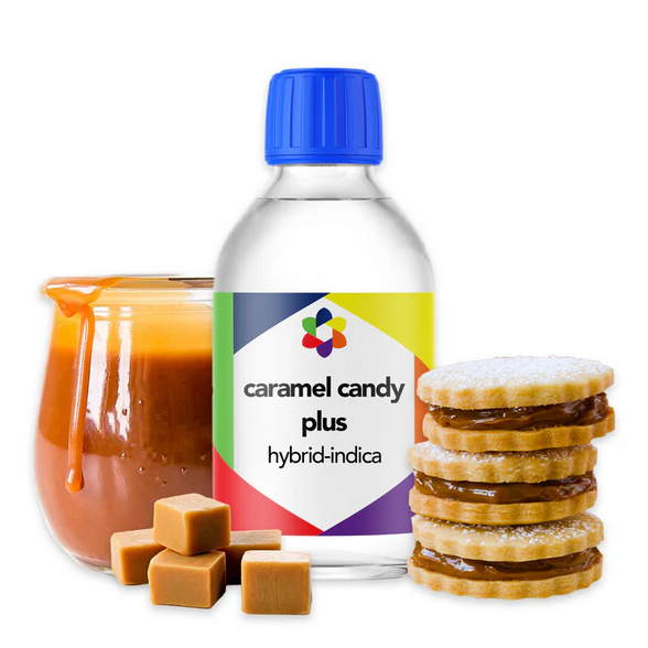 Caramel Candy PLUS+ Flavour Plus Vape Terpene 10ml