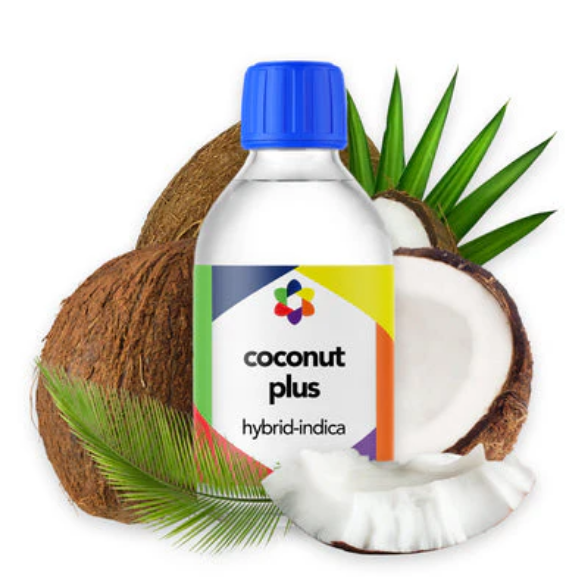 Coconut PLUS+ Flavour Plus Vape Terpene 10ml