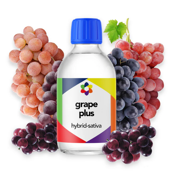 Grape PLUS+ Flavour Plus Vape Terpene 10ml