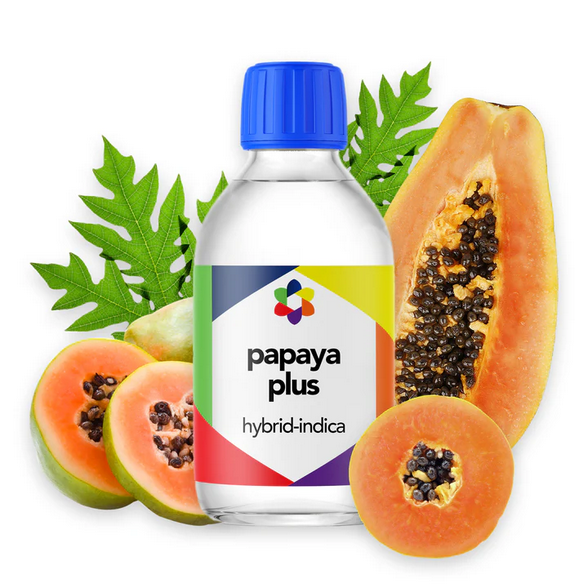 Papaya PLUS+ Flavour Plus Vape Terpene 10ml