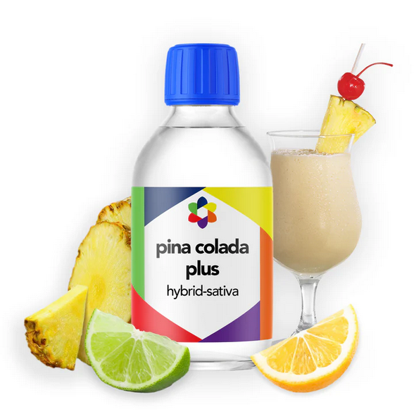 Pina Colada PLUS+ Flavour Plus Vape Terpene 10ml