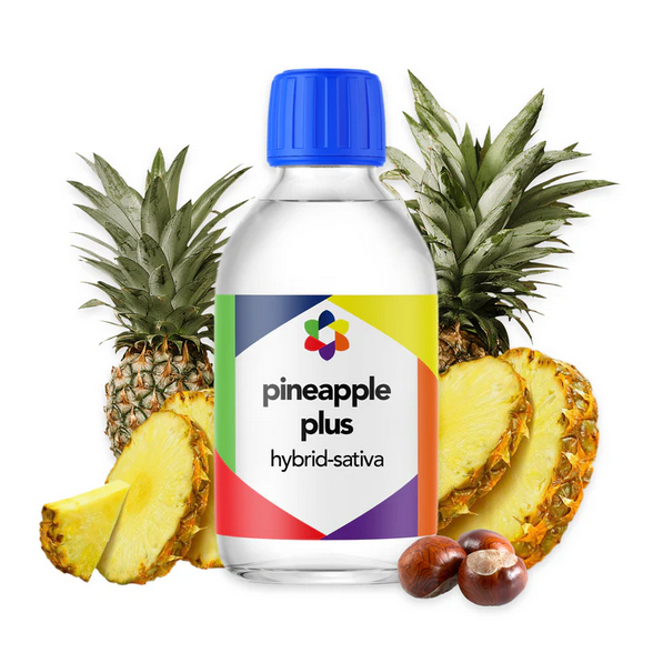 Pineapple PLUS+ Flavour Plus Vape Terpene 10ml