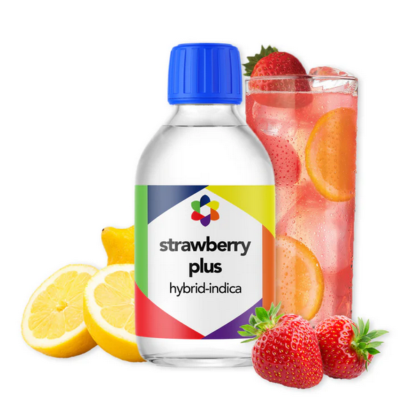 Strawberry PLUS+ Flavour Plus Vape Terpene 10ml