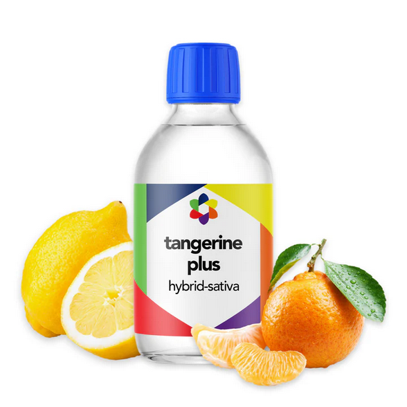 Tangerine PLUS+ Flavour Plus Vape Terpene 10ml